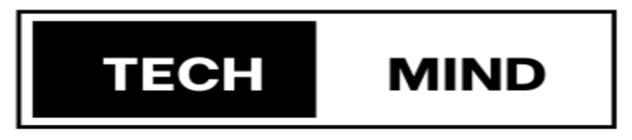 TechMindLabs